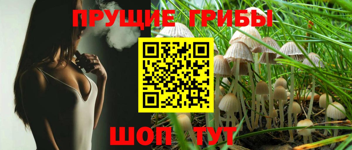 Галлюциногенные грибы прущие грибы Ижевск