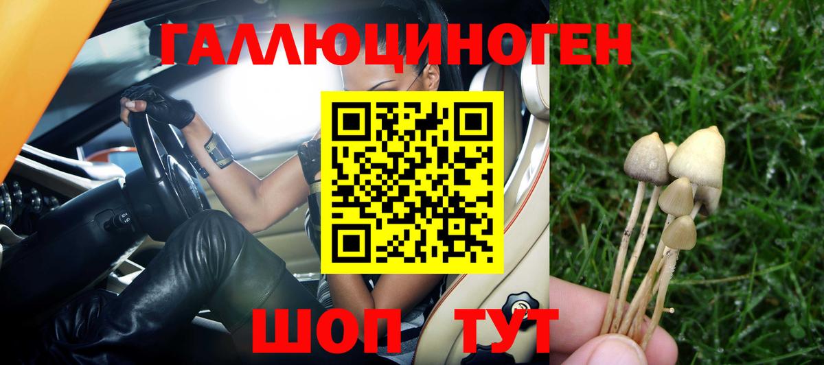 Галлюциногенные грибы GOLDEN TEACHER  Псилоцибиновые грибы Magic Shrooms  Ижевск  Вход с VPN 